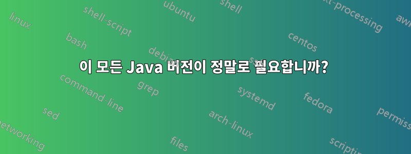 이 모든 Java 버전이 정말로 필요합니까?