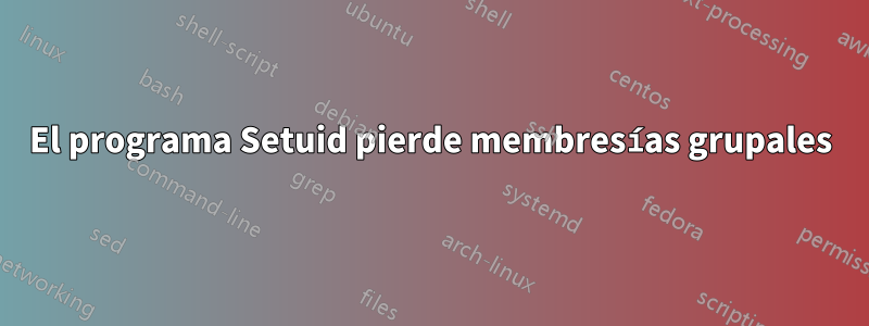 El programa Setuid pierde membresías grupales