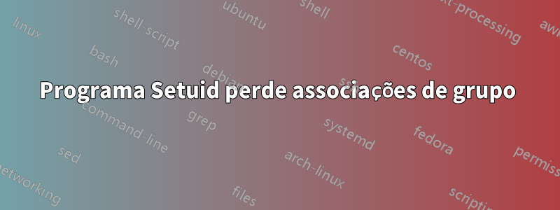 Programa Setuid perde associações de grupo