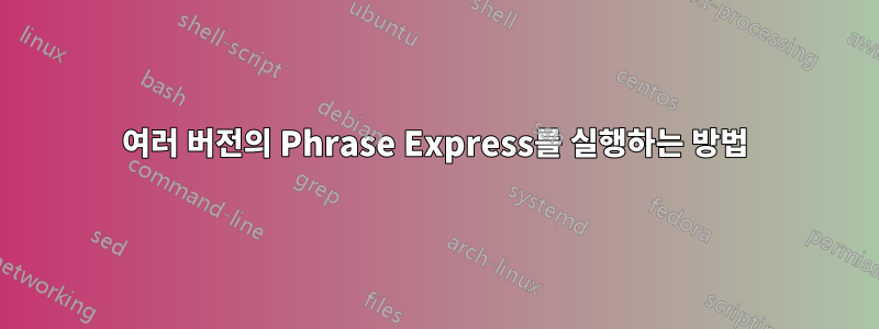 여러 버전의 Phrase Express를 실행하는 방법