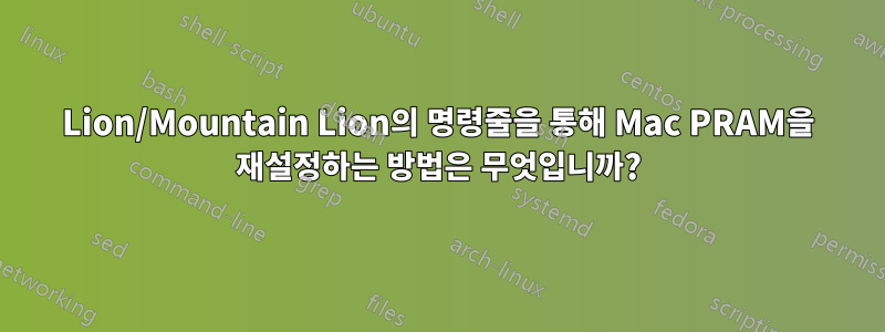 Lion/Mountain Lion의 명령줄을 통해 Mac PRAM을 재설정하는 방법은 무엇입니까?