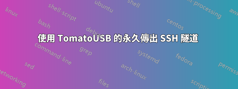 使用 TomatoUSB 的永久傳出 SSH 隧道