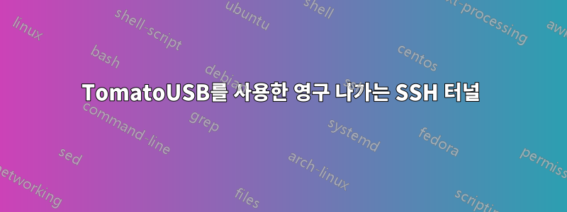 TomatoUSB를 사용한 영구 나가는 SSH 터널