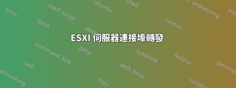 ESXI 伺服器連接埠轉發