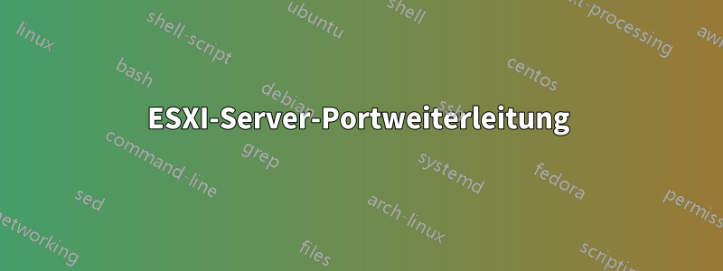 ESXI-Server-Portweiterleitung