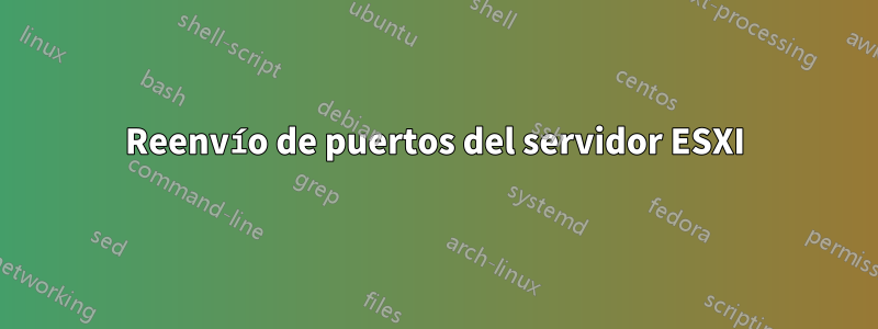 Reenvío de puertos del servidor ESXI