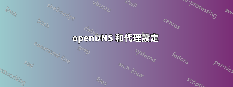 openDNS 和代理設定