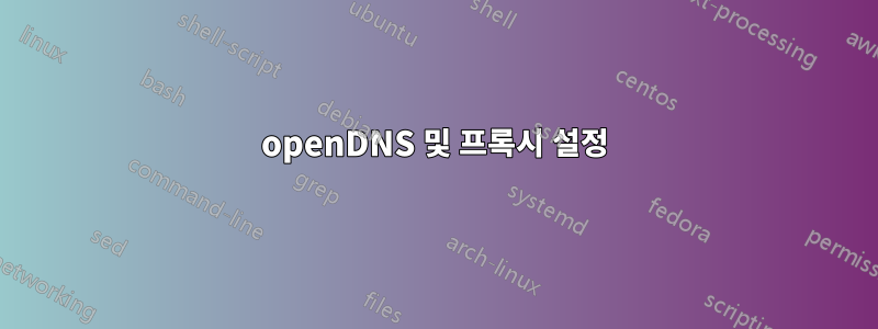 openDNS 및 프록시 설정