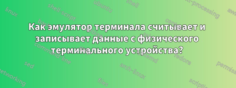 Как эмулятор терминала считывает и записывает данные с физического терминального устройства?