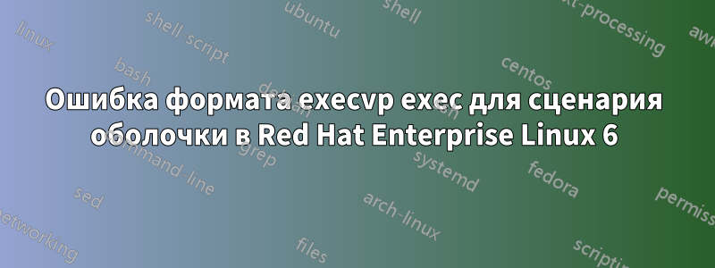 Ошибка формата execvp exec для сценария оболочки в Red Hat Enterprise Linux 6