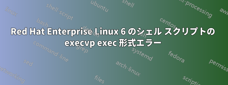 Red Hat Enterprise Linux 6 のシェル スクリプトの execvp exec 形式エラー