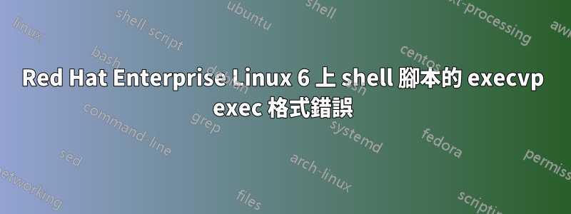 Red Hat Enterprise Linux 6 上 shell 腳本的 execvp exec 格式錯誤