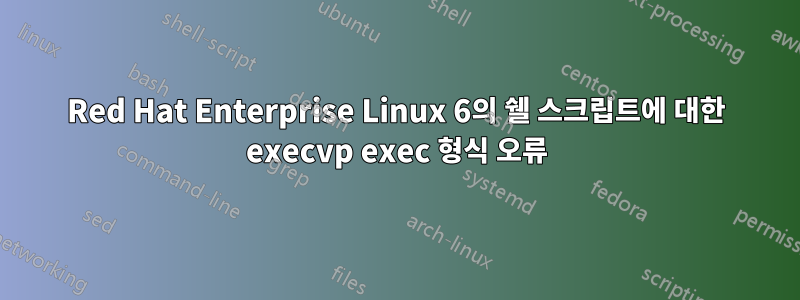 Red Hat Enterprise Linux 6의 쉘 스크립트에 대한 execvp exec 형식 오류