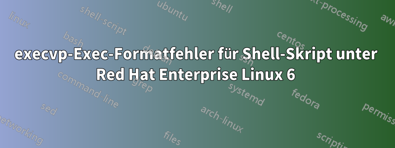 execvp-Exec-Formatfehler für Shell-Skript unter Red Hat Enterprise Linux 6