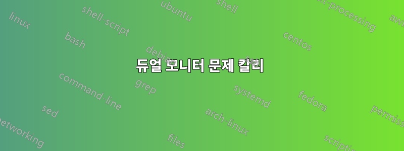 듀얼 모니터 문제 칼리