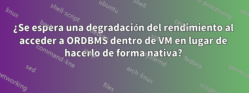 ¿Se espera una degradación del rendimiento al acceder a ORDBMS dentro de VM en lugar de hacerlo de forma nativa?