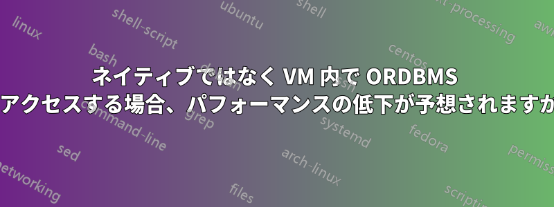 ネイティブではなく VM 内で ORDBMS にアクセスする場合、パフォーマンスの低下が予想されますか?