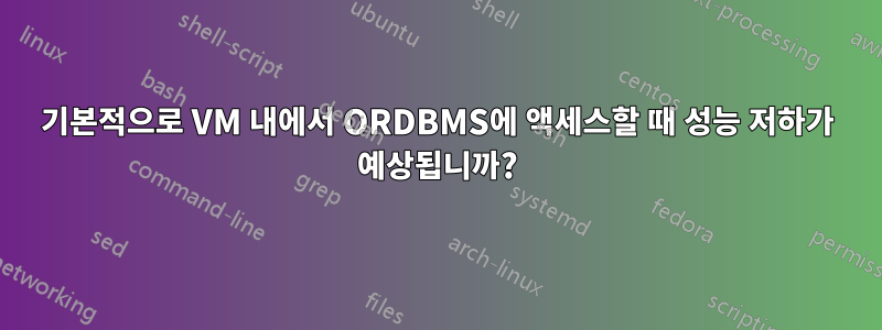 기본적으로 VM 내에서 ORDBMS에 액세스할 때 성능 저하가 예상됩니까?