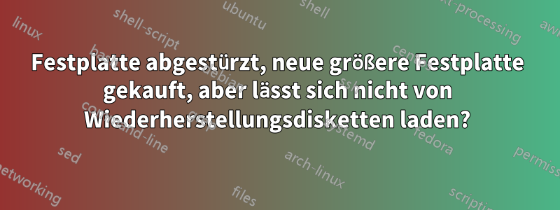 Festplatte abgestürzt, neue größere Festplatte gekauft, aber lässt sich nicht von Wiederherstellungsdisketten laden?