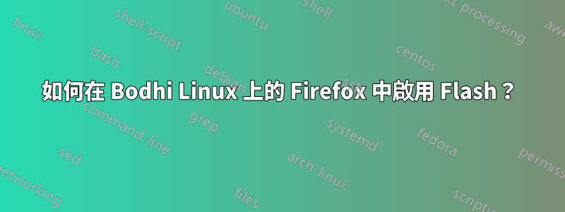 如何在 Bodhi Linux 上的 Firefox 中啟用 Flash？