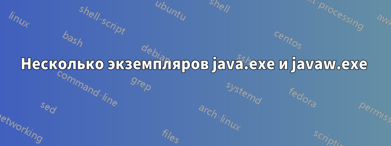 Несколько экземпляров java.exe и javaw.exe