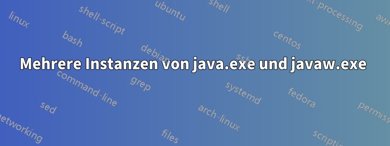 Mehrere Instanzen von java.exe und javaw.exe