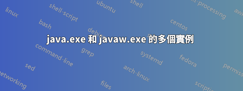 java.exe 和 javaw.exe 的多個實例
