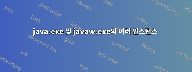 java.exe 및 javaw.exe의 여러 인스턴스