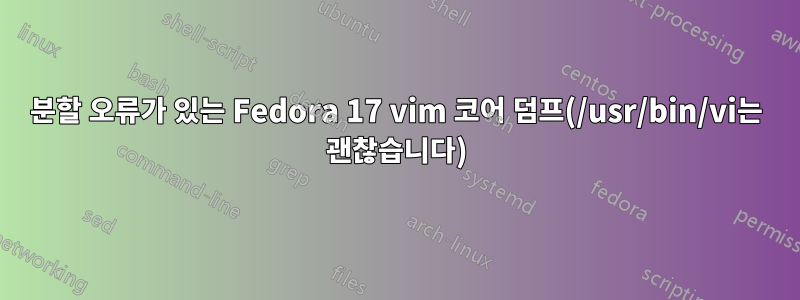 분할 오류가 있는 Fedora 17 vim 코어 덤프(/usr/bin/vi는 괜찮습니다)