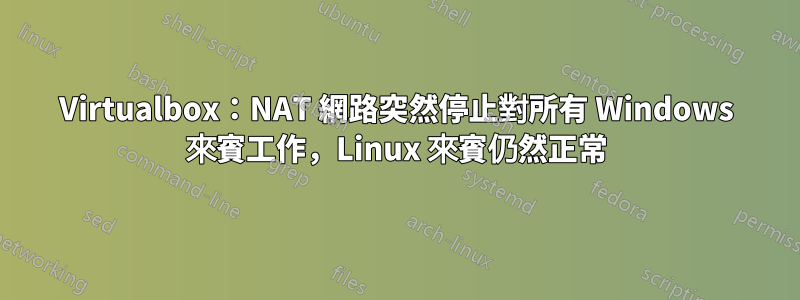 Virtualbox：NAT 網路突然停止對所有 Windows 來賓工作，Linux 來賓仍然正常