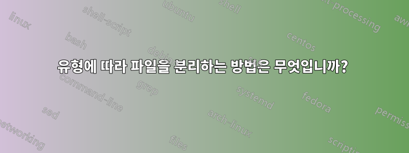 유형에 따라 파일을 분리하는 방법은 무엇입니까?