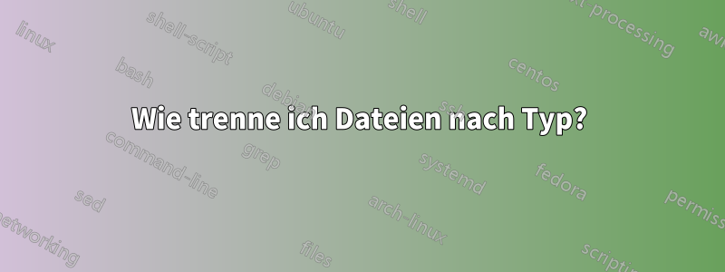 Wie trenne ich Dateien nach Typ?