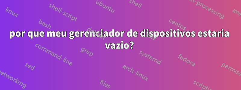 por que meu gerenciador de dispositivos estaria vazio?