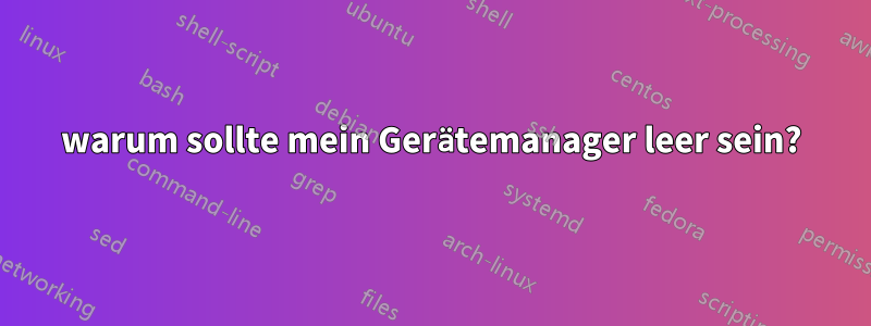 warum sollte mein Gerätemanager leer sein?