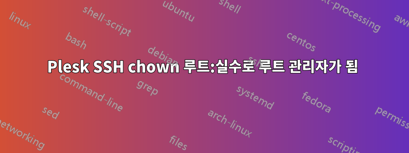 Plesk SSH chown 루트:실수로 루트 관리자가 됨