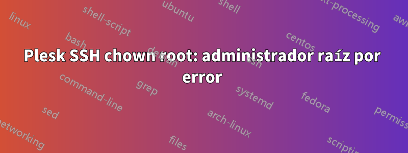 Plesk SSH chown root: administrador raíz por error