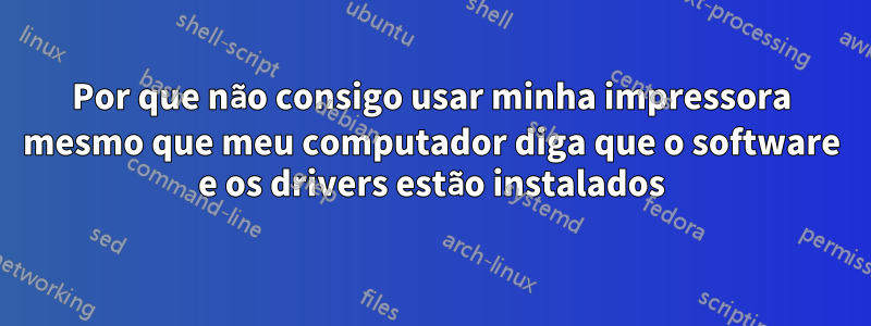 Por que não consigo usar minha impressora mesmo que meu computador diga que o software e os drivers estão instalados