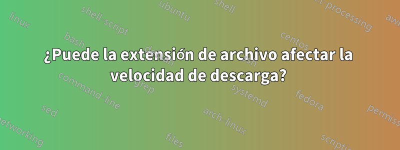 ¿Puede la extensión de archivo afectar la velocidad de descarga?