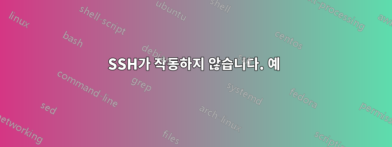 SSH가 작동하지 않습니다. 예