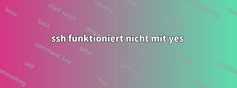 ssh funktioniert nicht mit yes