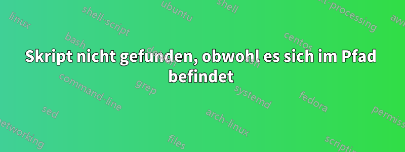 Skript nicht gefunden, obwohl es sich im Pfad befindet