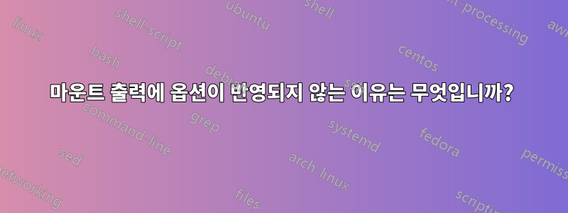 마운트 출력에 옵션이 반영되지 않는 이유는 무엇입니까?