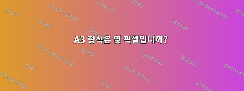 A3 형식은 몇 픽셀입니까?