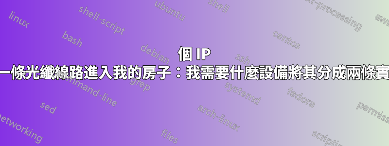 2 個 IP 位址從同一條光纖線路進入我的房子：我需要什麼設備將其分成兩條實體線路？