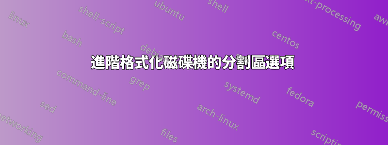 進階格式化磁碟機的分割區選項