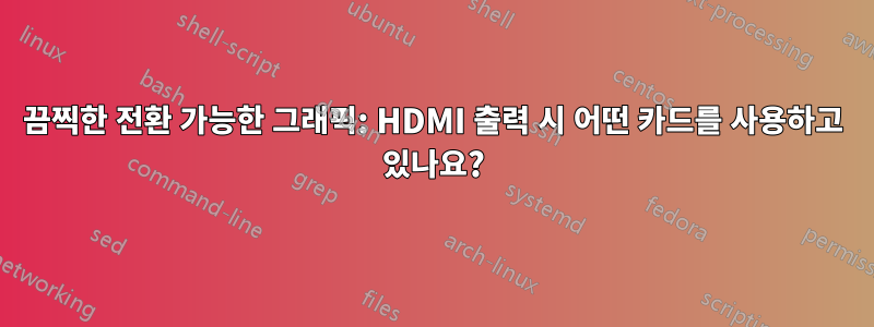 끔찍한 전환 가능한 그래픽: HDMI 출력 시 어떤 카드를 사용하고 있나요?