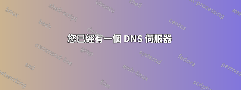 您已經有一個 DNS 伺服器