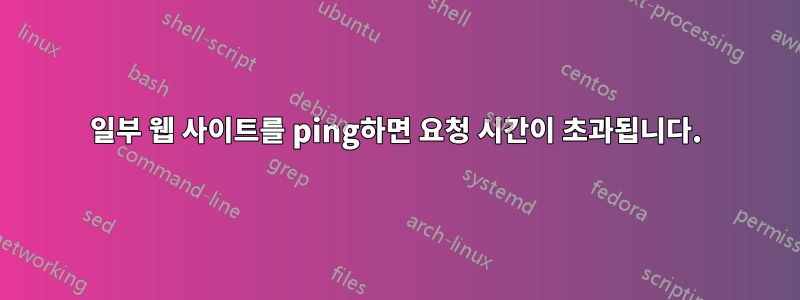 일부 웹 사이트를 ping하면 요청 시간이 초과됩니다.