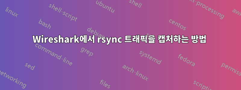 Wireshark에서 rsync 트래픽을 캡처하는 방법