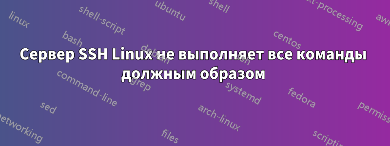 Сервер SSH Linux не выполняет все команды должным образом